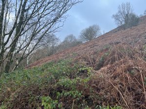 Photo 7- click for photo gallery